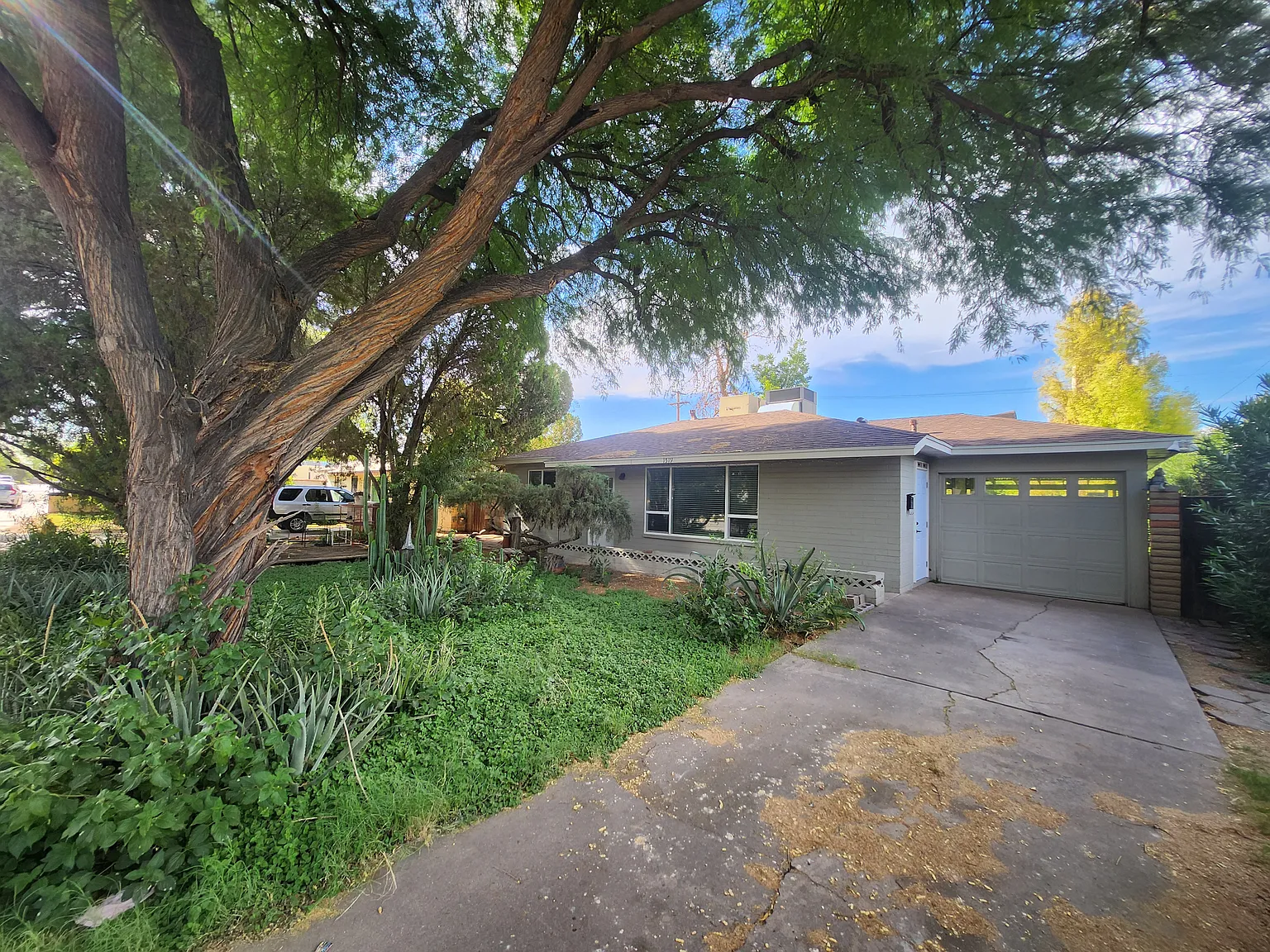 3 bed, 1200 sqft, $2,200 — Photo 1