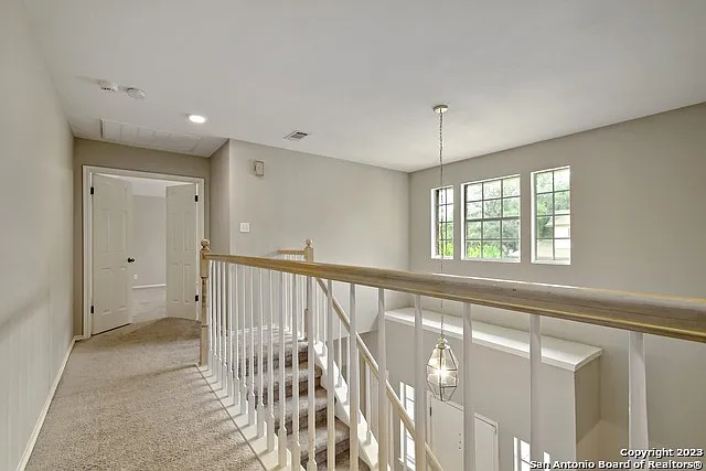 14302 Rush Wood — Photo 19