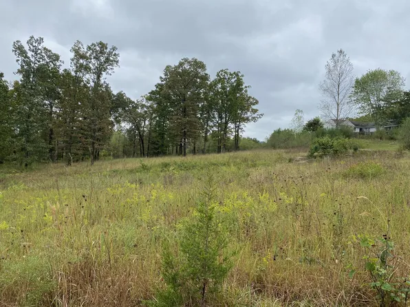 Tbd Pine Top Road, Kirbyville, MO 65679