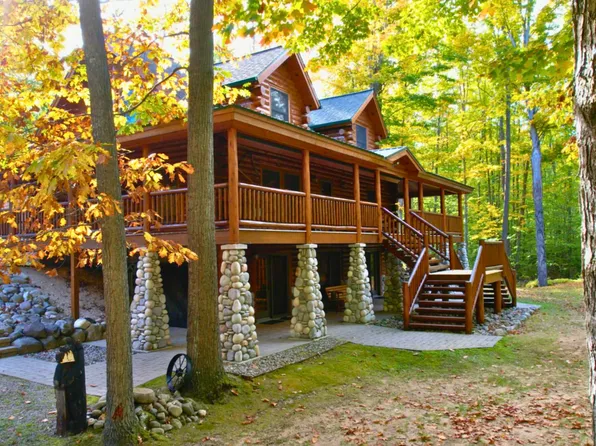 6402 Rustic Pine Trl, Alanson, MI 49706