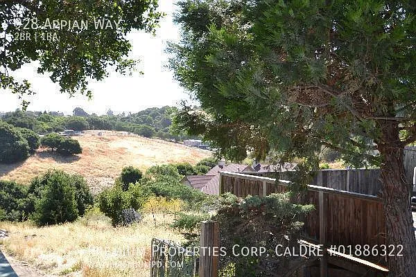 928 Appian Way — Photo 23
