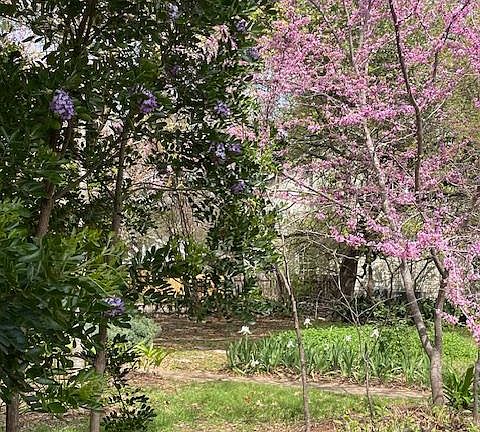 Front yard garden