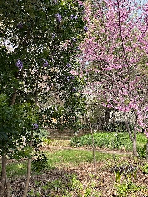 Front yard garden