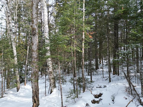 4th image of 12 Falcon Ridge