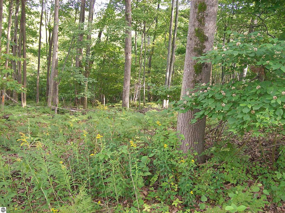 1st image of LOT 485 N Ogemaw Trl