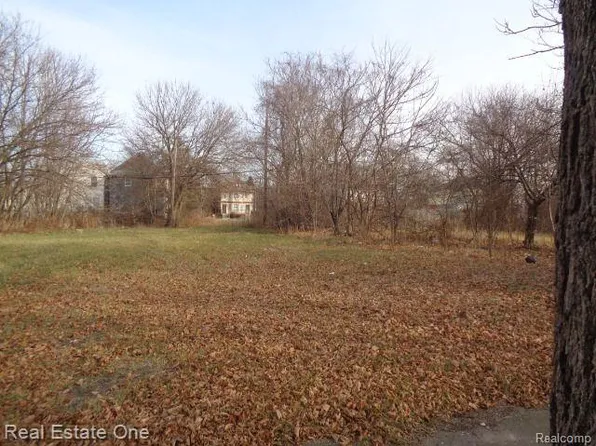3806 Belvidere St, Detroit, MI 48214
