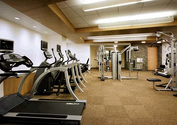 Rented by NY Living Solutions | media 49