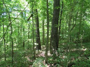 913 Signal Hill Rd, Mountain View, AR 72560