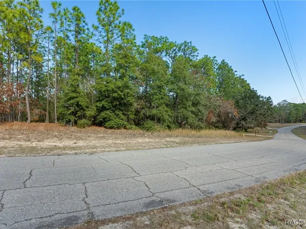 5355 N Tee Pee Dr, Beverly Hills, FL 34465