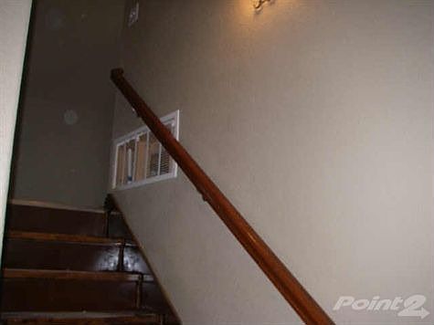 5th image of 10906 Shady Oaks