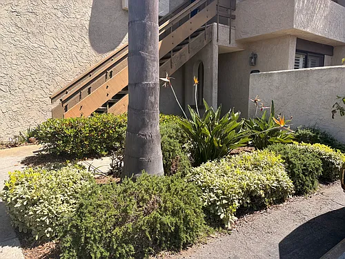 13783 Mango Dr Photo 1