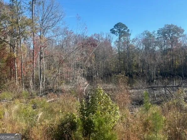 0 Jd Williams Rd, Cadwell, GA 31009