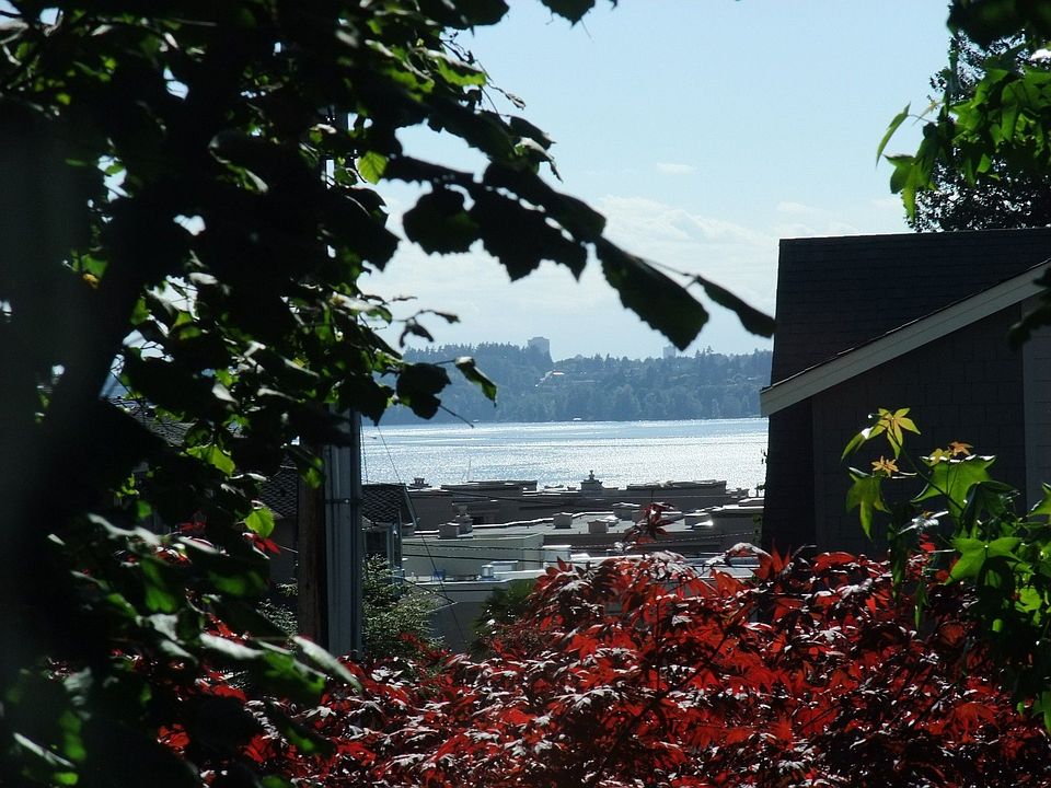 Waterviews!