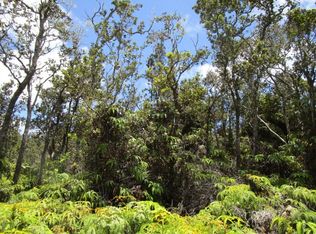 11-3685 Old Volcano Hwy LOT 53-B, Volcano, HI 96785
