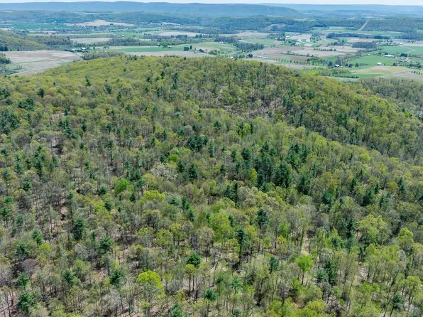 LOT 1 Patton Hill Rd, Millville, PA 17846