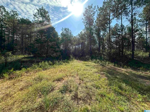 0 County Road 336, Maplesville, AL 36750