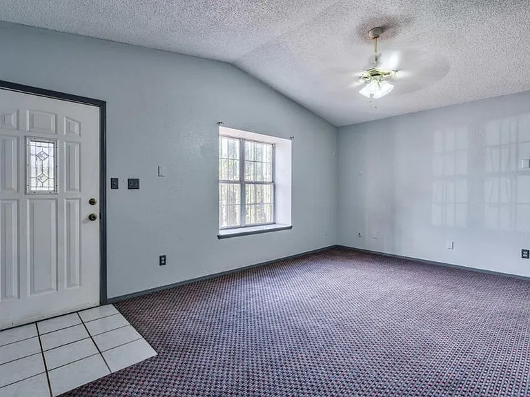 12521 Angie Bombach Ave — Photo 9