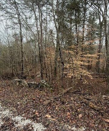 2nd image of 20 Buck Tail Dr