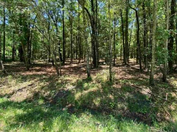 4810 Noel St, Hastings, FL 32145