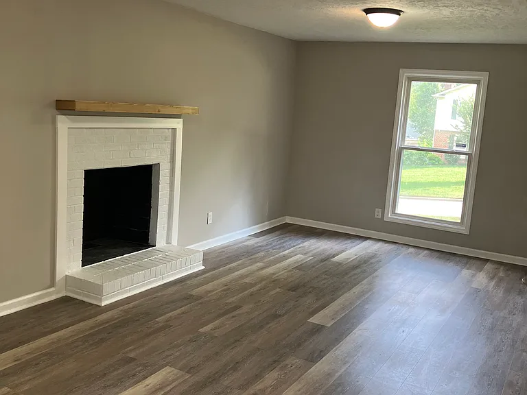 Lower level family room - non-functional fireplace.