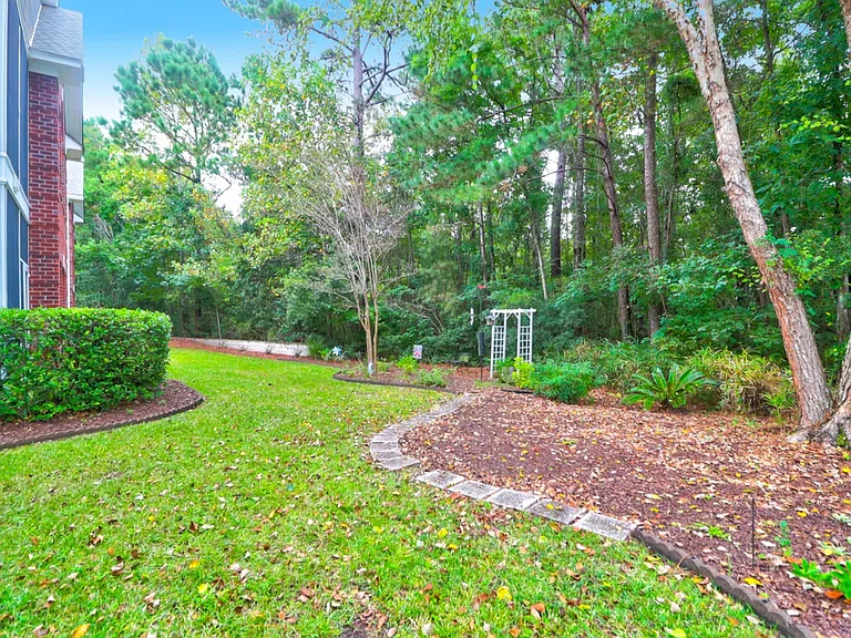 Lush and lightly-wooded back yard.