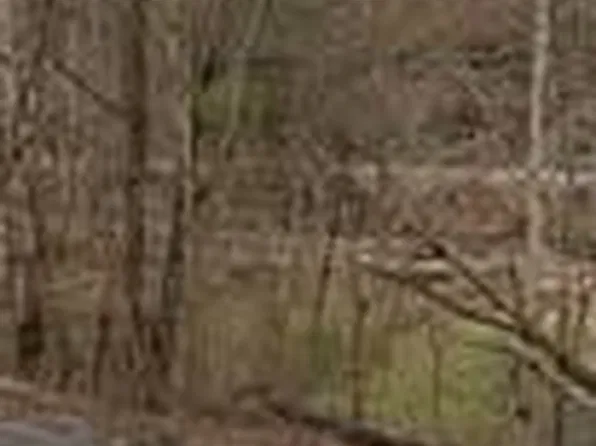 0 Worthington Rd, Davy, WV 24828
