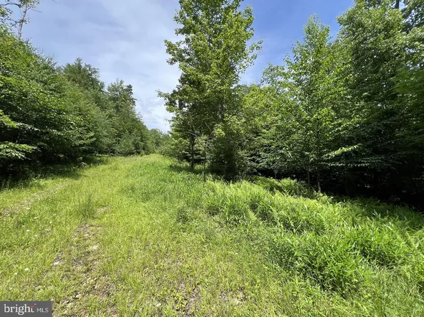 Tuscan Ridge Rd, Davis, WV 26260