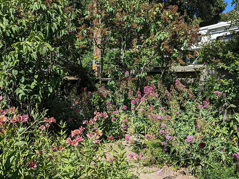 22 Paso Cresta — Photo 38