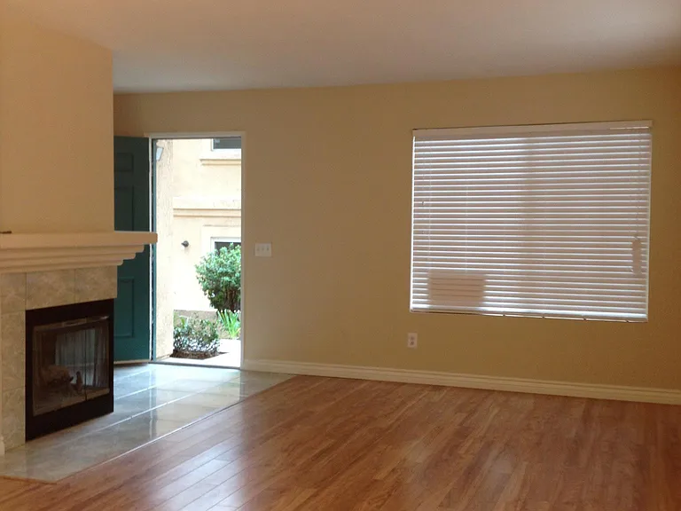 Front entrance, living room, fireplace