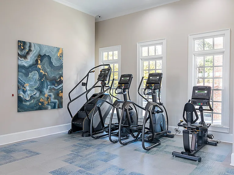 Newly Renovated Fitness Center with Cardio Equipment