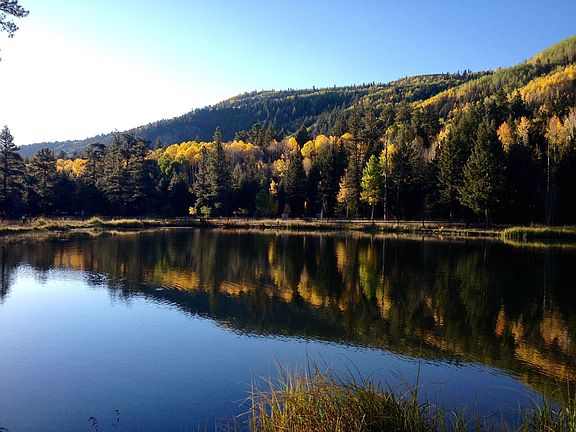 Pond/lake