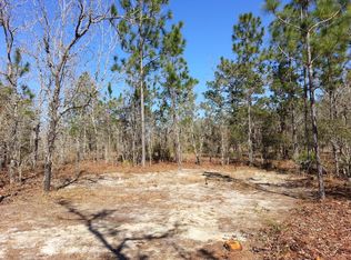 16260 Scaup Duck Ave, Weeki Wachee, FL 34614