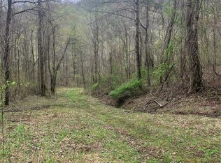 9999 Davidson Gap Rd, Leicester, NC 28748