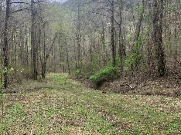 9999 Davidson Gap Rd, Leicester, NC 28748