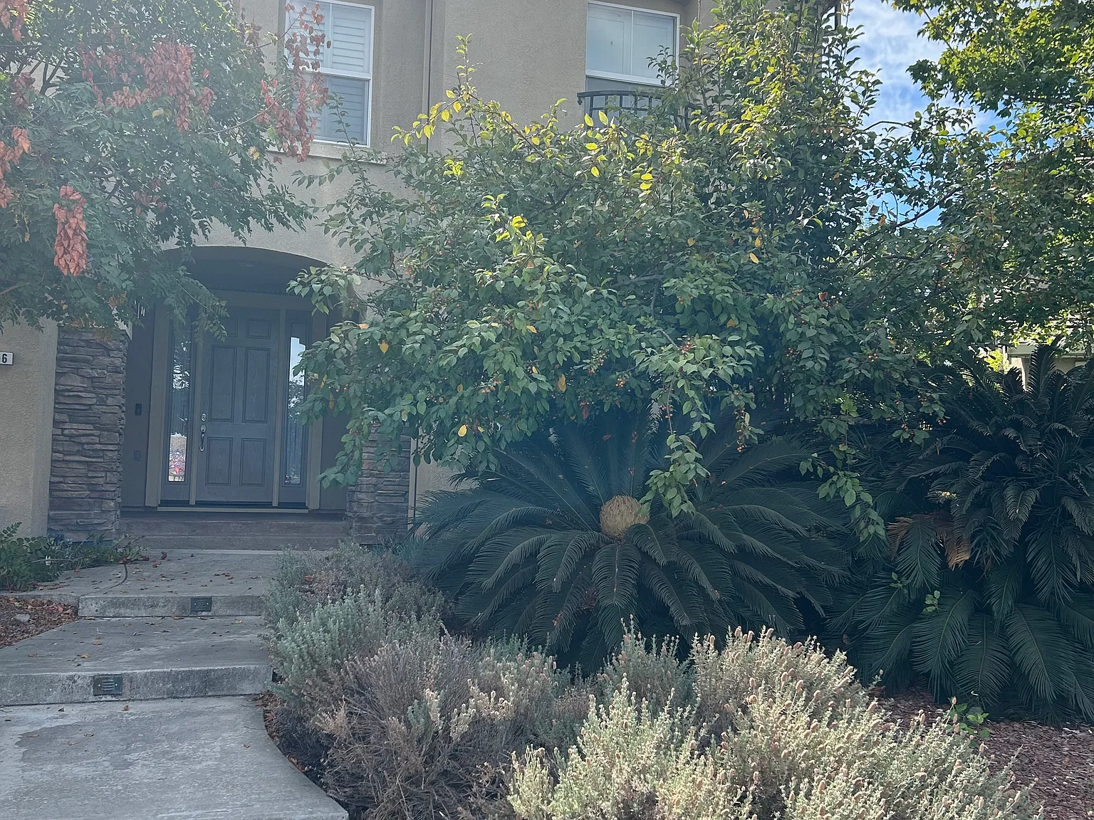 2256 Plumeria Pl — Photo 3