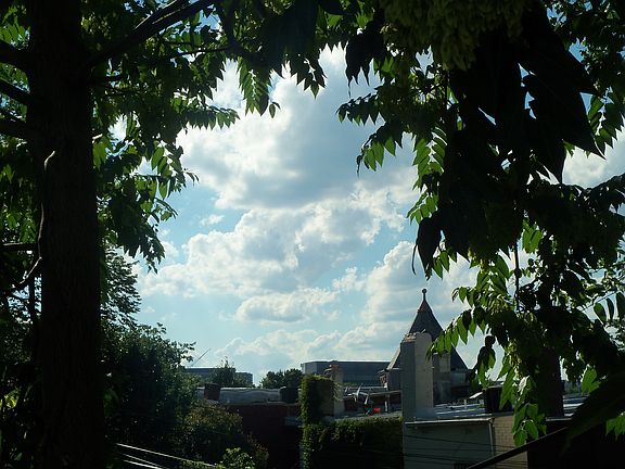 rear terrace view