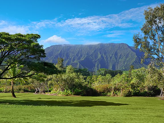 2nd image of 2818 Kamookoa Rd #3