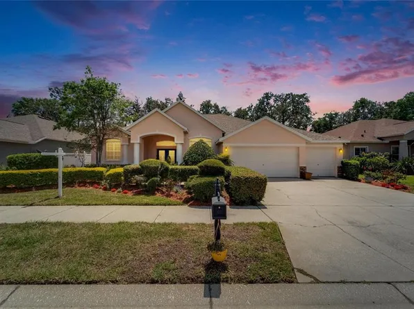 2515 Centennial Falcon Dr, Valrico, FL 33596