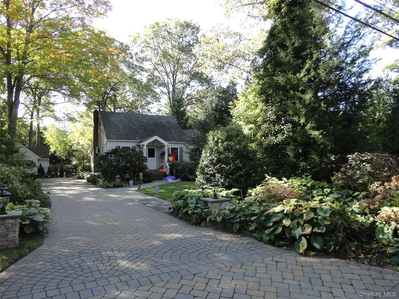 3 bed, 1.0 bath, 1224 sqft, $3,800 — Photo 3