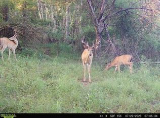 14501 Howard Rd, Concord, MI 49237