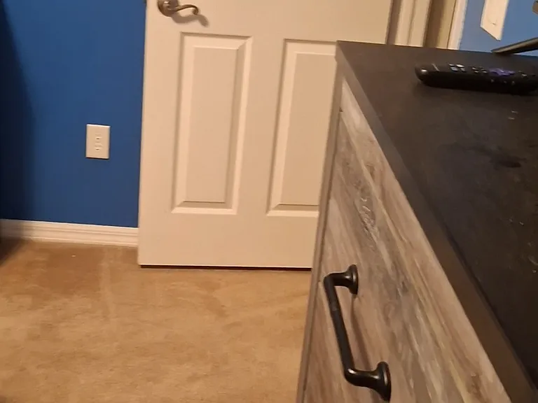 220 SW Manatee Springs Way — Photo 3