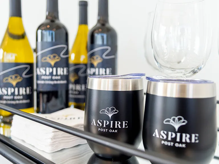 1AspirePO0213