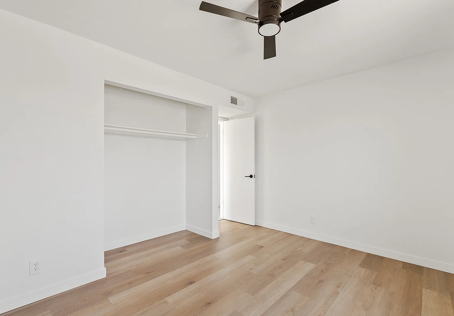 1 bed, 800 sqft, $700 — Photo 2