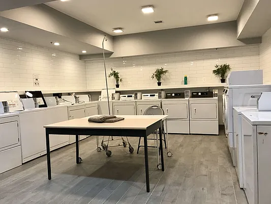 Rented by Pearl Realty Management LLC | media 24