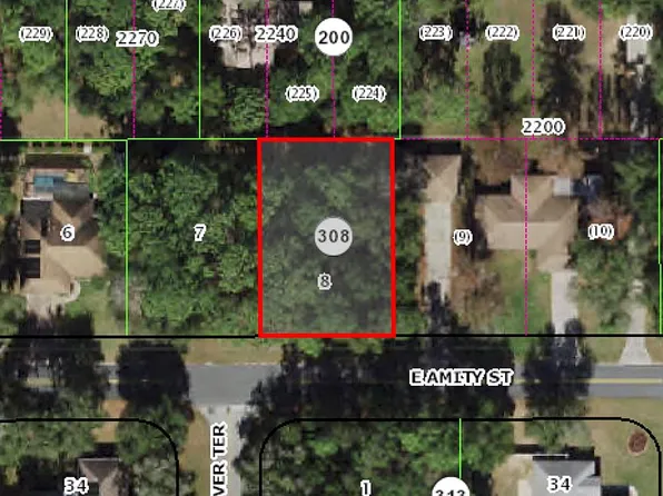 6405 E Amity St, Inverness, FL 34452