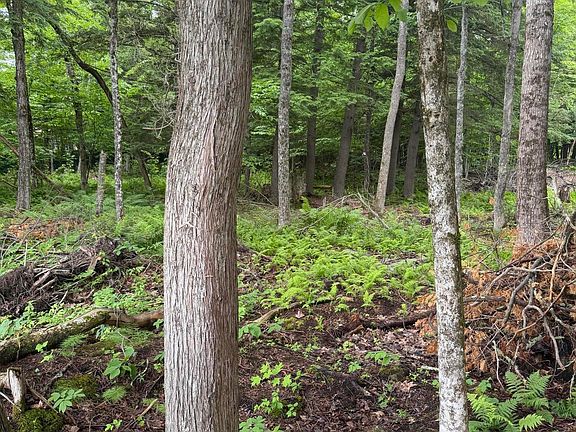4th image of M1L112 Cove/Bear Brook Road