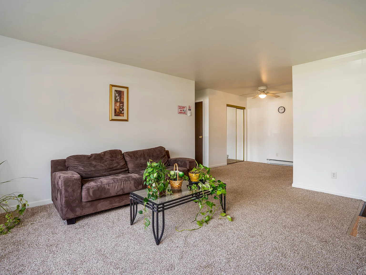 1 bed, 1000 sqft, $895 — Photo 4