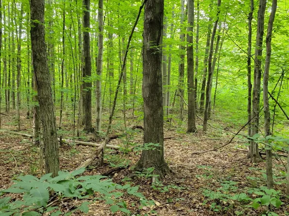 264 Plum Valley Rd NE, Mancelona, MI 49659