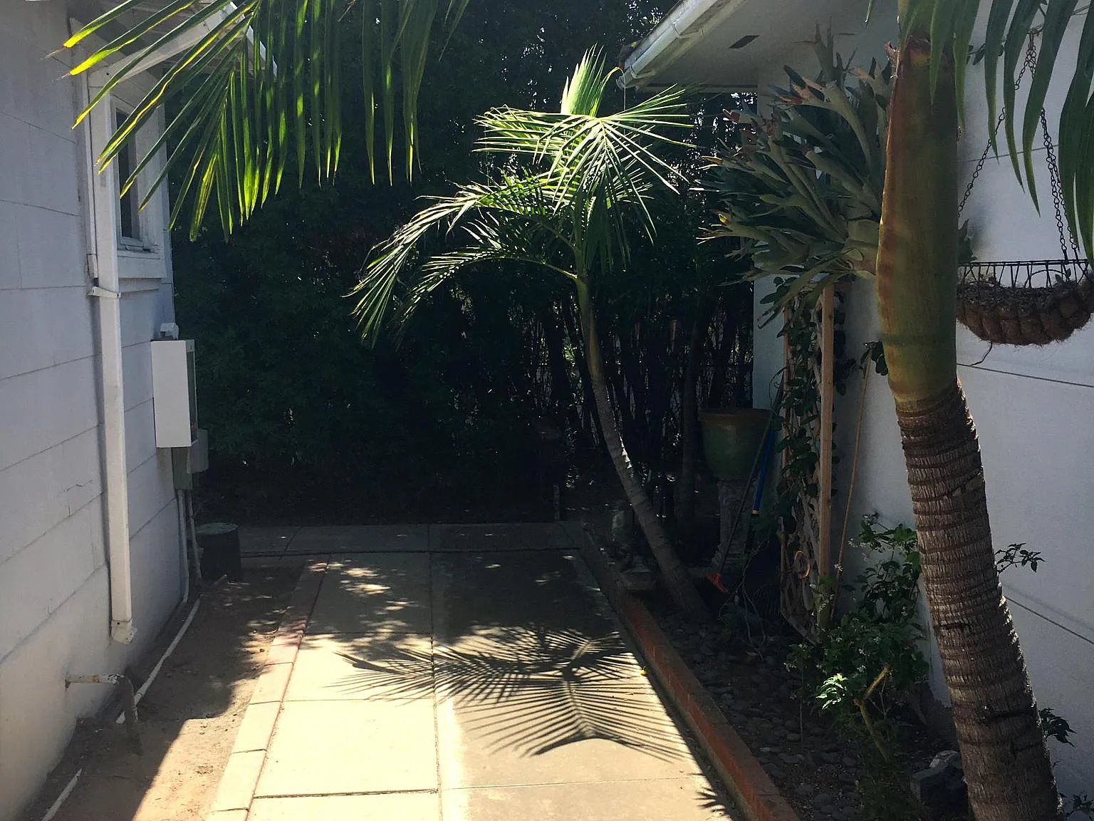 1 bed, 850 sqft, $1,700 — Photo 1