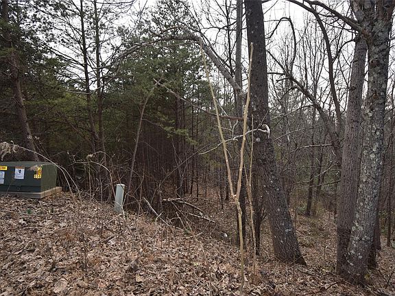 3rd image of 2605 Ontario Ct